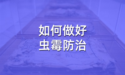 檔案修復(fù)后，如何做好蟲霉防治